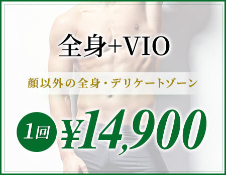 全身+VIO 顔以外の全身・デリケートゾーン 1回¥14,900