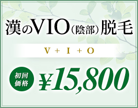 VIO陰部脱毛（V+I+O）初回15,800円